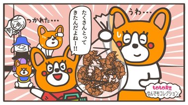 「セミの抜け殻が大量に!」なんでも集めたがる子どもの“コレクション”ってどうしたらいい?