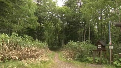 【続報】引率者のクマ撃退スプレーが登山道の”枝に引っかかり”誤噴射＿後ろにいた女子高校生の顔を直撃＿急なヒグマ出没に備え「安全装置」外した状態で腰に装着＿女子高校生はトムラウシ山からヘリ搬送され手当