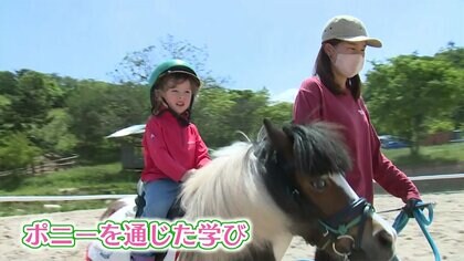 ポニーとの触れあいを通し子どもたちに学びを　亡き夫の思いを受け継ぎ開設した“森のようちえん”【鳥取発】