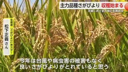 主力品種さがびより収穫始まる 天候にめぐまれ良い生育状況【佐賀県】