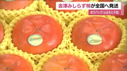 会津の特産品「みしらず柿」　ゆうパック「ふるさと小包」で全国へ発送　12月中旬まで　福島・会津若松市