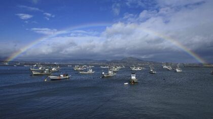 「魅力を全部撮り尽くすまで」移住写真家がファインダー越しに見つめる　海の街に生きる人々の“ど根性”【宮城発】