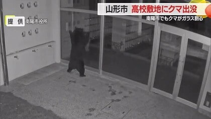 クマが赤湯小の職員玄関のガラス割る・東海大山形高でネットによじ登る　臨時休校・短縮授業など対応　山形