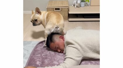 「やめなさい」爆睡する飼い主の頭に“お尻スリスリ”する犬に笑いが止まらない…何をしてるのか聞いた