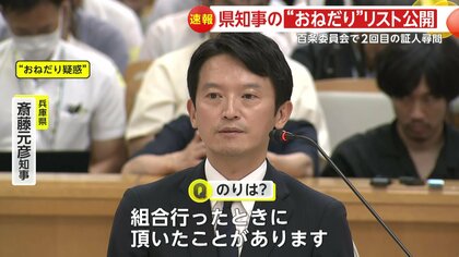 指摘には当たらない記憶にありません様専用