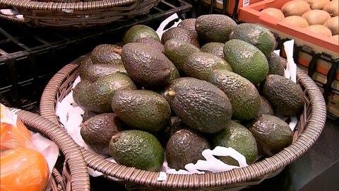 「安いわ」“森のバター”アボカドがお得　産地メキシコで豊作…卸値200円超下がり売値100円台前半　スーパー担当「3月中頃まで安い」