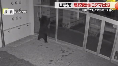 クマが赤湯小の職員玄関のガラス割る・東海大山形高でネットによじ登る　臨時休校・短縮授業など対応　山形