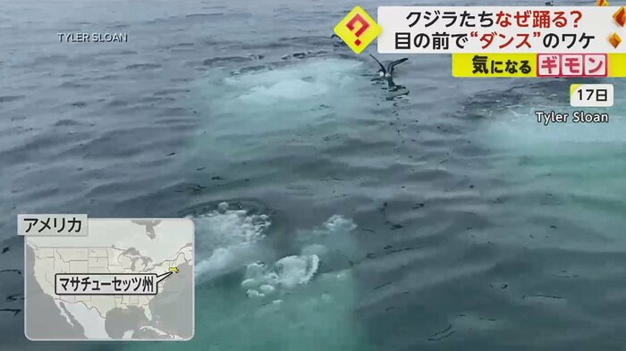水中からたくさんの泡が出てくると…(8月17日撮影)