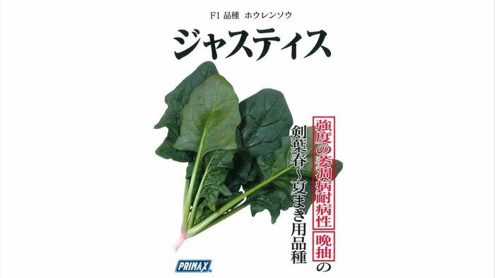ジャスティスという品種名も(提供:サカタのタネ)