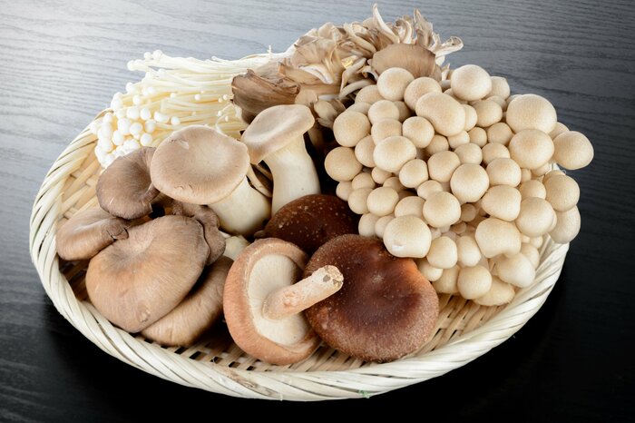 キノコ類はビタミンDを有する貴重な食材(画像:イメージ)