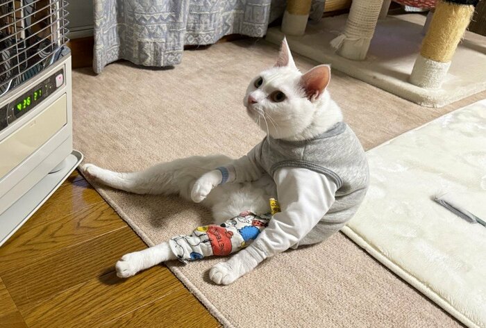 まるで人間のような座り方(提供:しんばぷーさん)