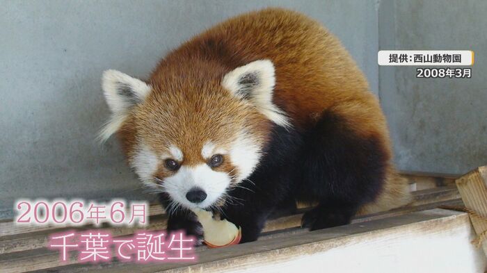 2歳になる前に西山動物園へ