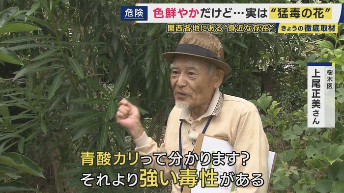樹木医 上尾正美さん