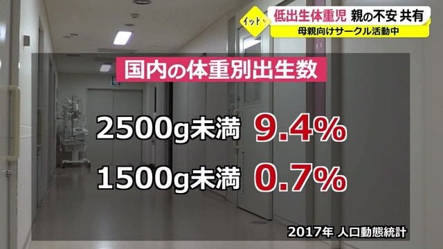 2017年 人口動態統計より