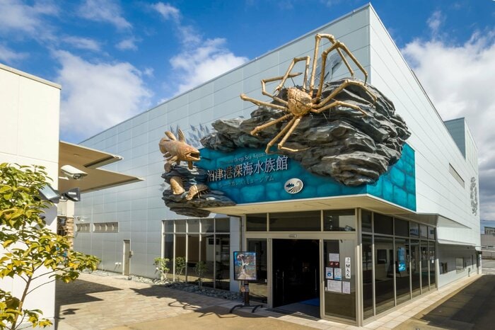 提供:沼津港深海水族館