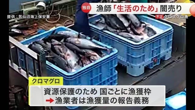 気仙沼海上保安署提供(2024年4月撮影)