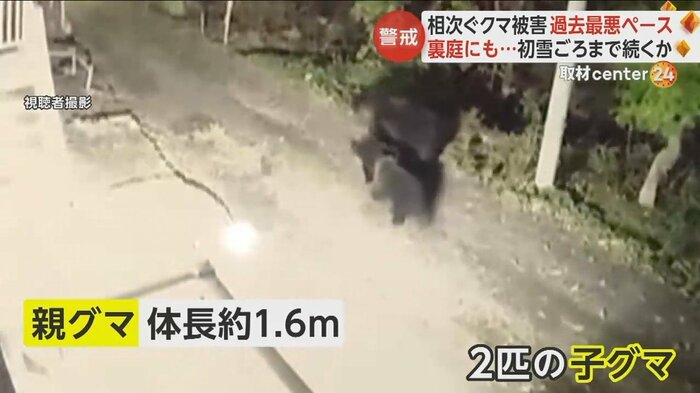 札幌市の住宅の裏庭にも親子3匹のクマが