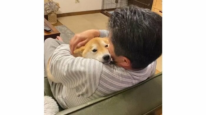 ぎゅっとされて、満足気な小雨ちゃん