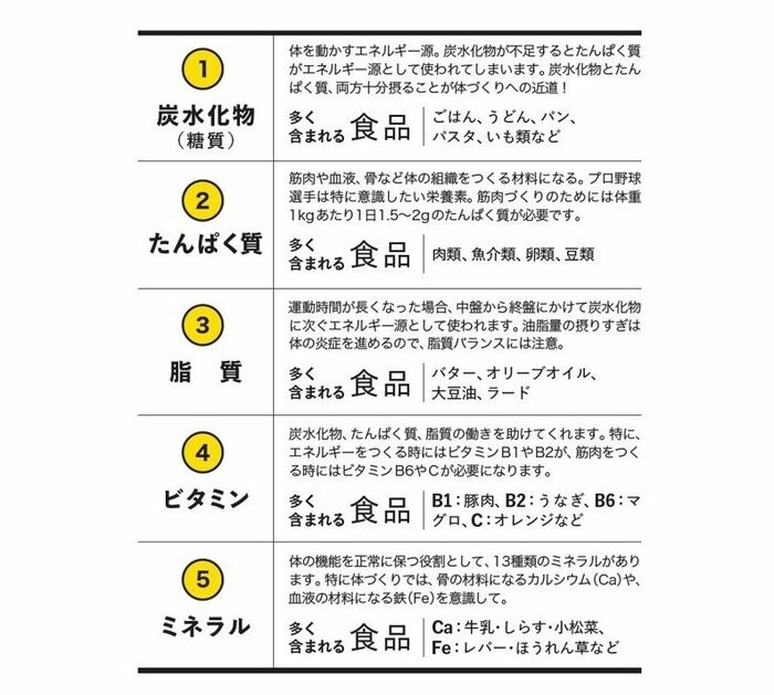 五大栄養素
