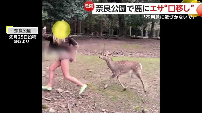 鹿に追いかけられる動画も投稿