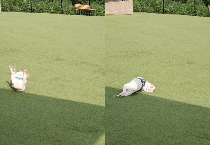 提供:むぎさん