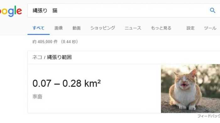 「猫の縄張り」まで検索できる! Googleのナゾ機能を、ぞくぞく検証してみた