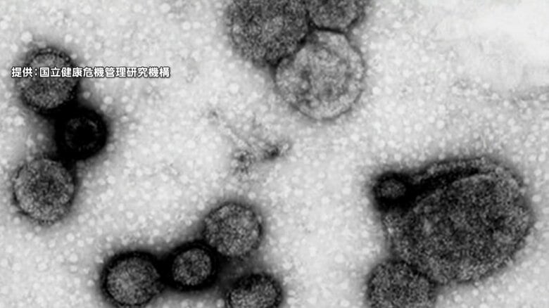 【速報】インフルエンザ感染者数が12週連続増加　1医療機関あたり21.82人｜FNNプライムオンライン