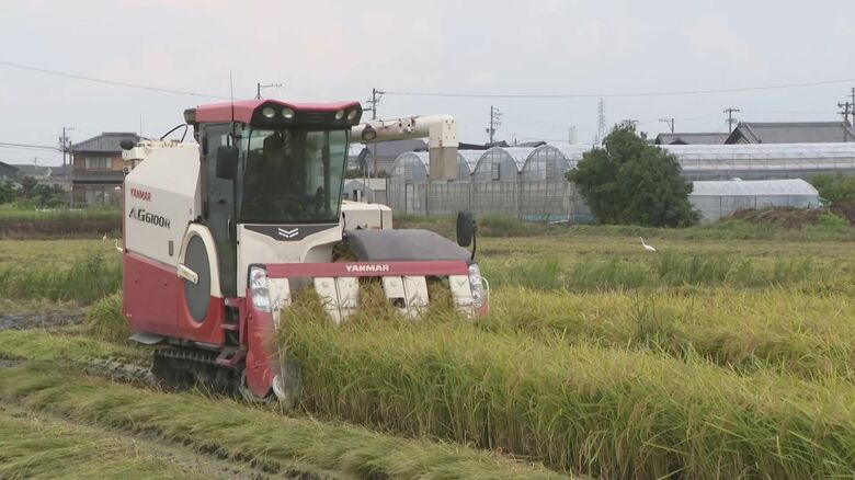 新米の収穫始まるも…コメ不足解消「9月下旬-10月上旬」か コスト高と相まって5割値上がりの可能性も｜FNNプライムオンライン