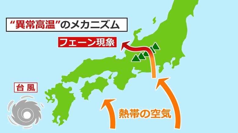 台風接近×フェーン現象で40度級の“酷暑”に 2023年には39.7度を記録 日本海側特有の地形と気象条件が引き起こす“異常高温”のメカニズム|FNNプライムオンライン