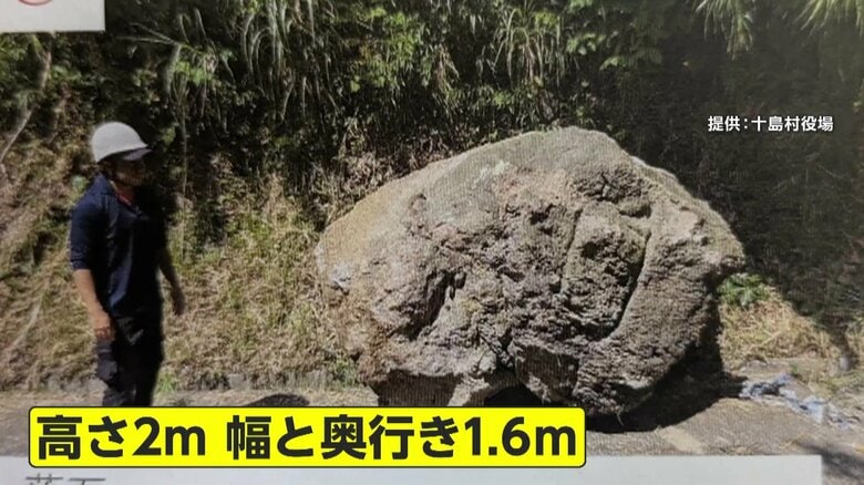 トカラ列島地震1600回超観測…島外避難者はあわせて59人に　島に残る人々に災害支援ナース2人を派遣　気象庁「南海トラフと関係・影響なし」｜FNNプライムオンライン