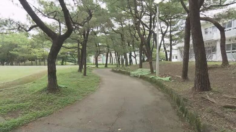 「暴行受け現金奪われた」はウソ　偽計業務妨害で逮捕｜FNNプライムオンライン