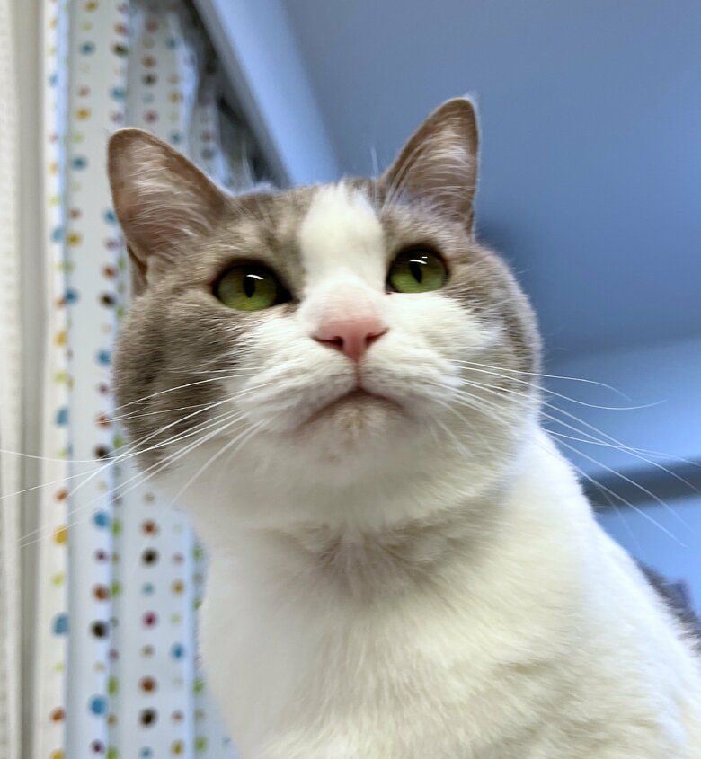 提供：いずもん/まろ様さん