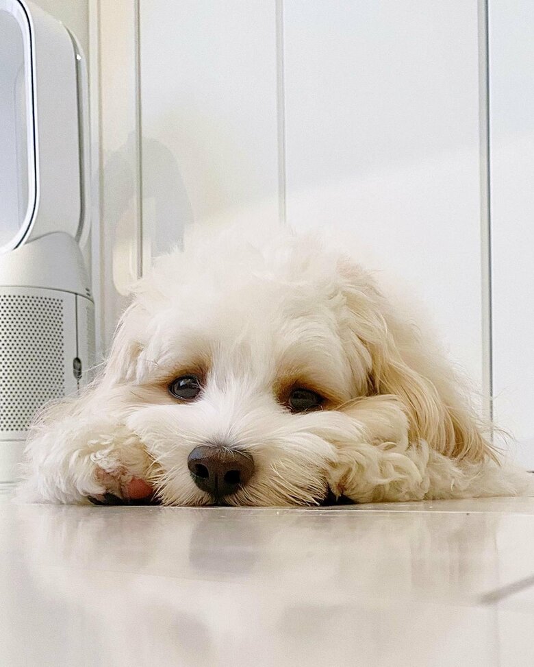 提供：宮原幸恵さん