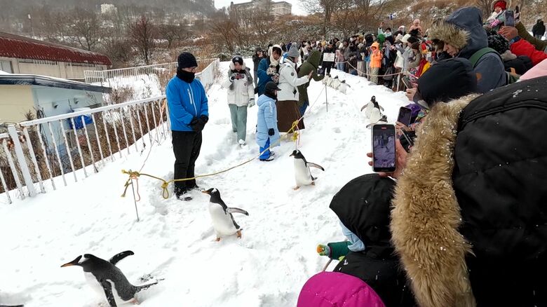 おたる水族館は国内外の観光客が訪れる人気スポット