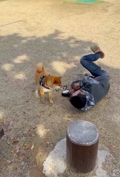 提供：カンさん