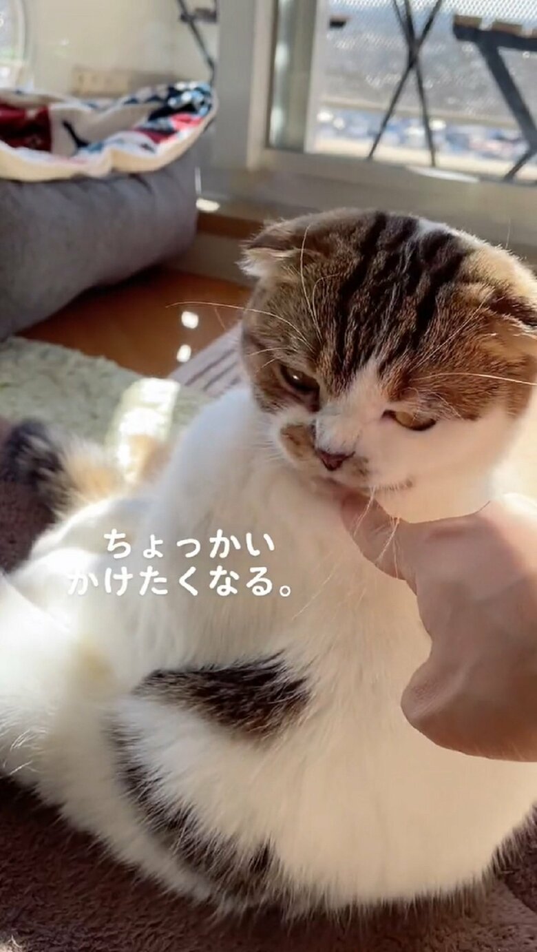 何？