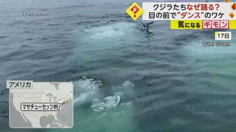 水中からたくさんの泡が出てくると…（8月17日撮影）