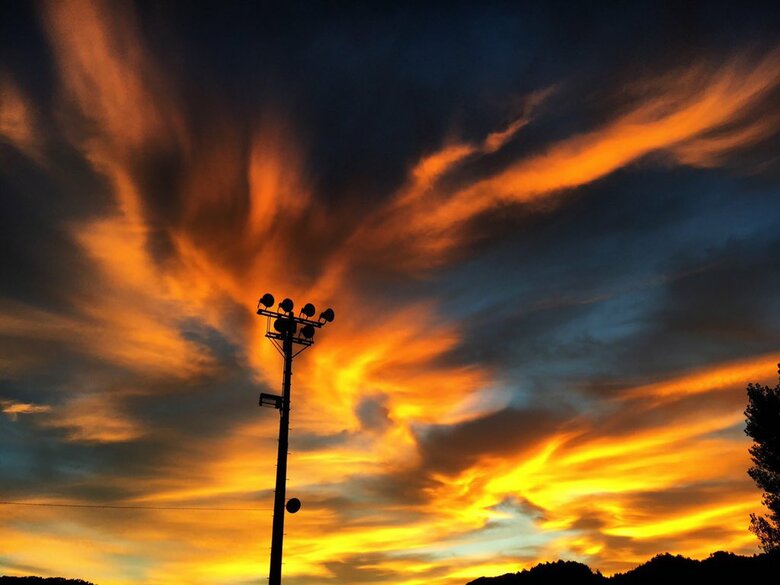 夕暮れの空を舞う火の鳥のようで美しい