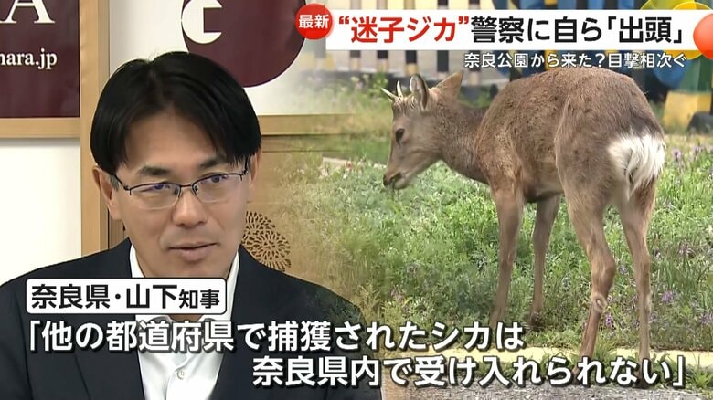 「ほかの都道府県で捕獲されたシカは奈良県内で受け入れられない」との考えを示した奈良県・山下真知事