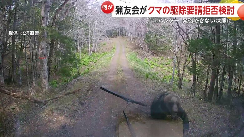 ヒグマが車に突進してフロントガラスとワイパーを破壊する様子