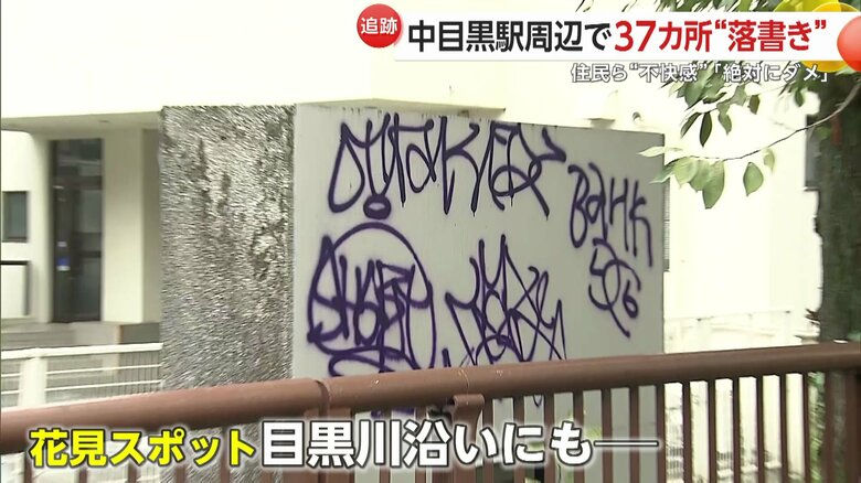「お花見スポット」目黒川沿いにも落書きが
