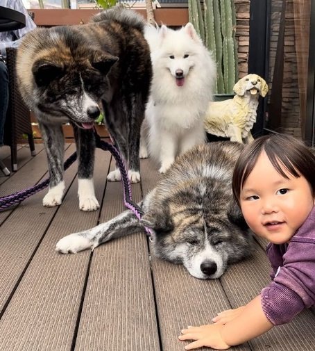 みんなで集合写真