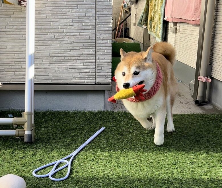 エビフライを持って逃走中？