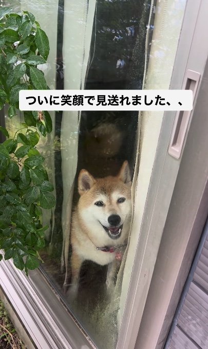 提供：橋本真実さん