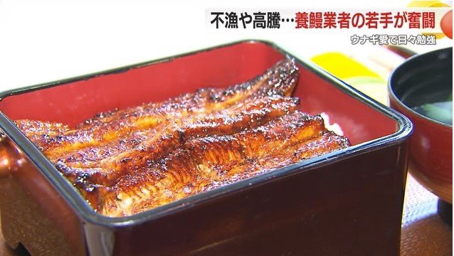 ウナギのかば焼き重
