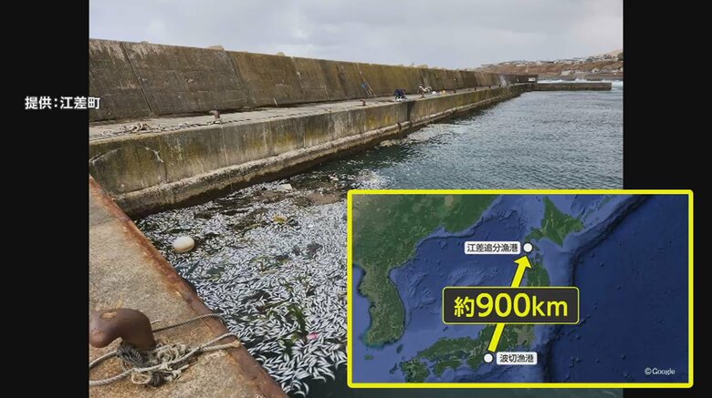 北海道・江差町の漁港