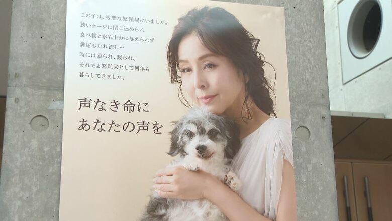 動物愛護週間に合わせて作ったポスター