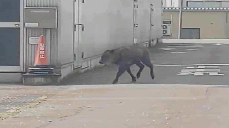 撮影：クロステン十日町スタッフ