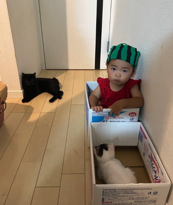 提供：ゴンゾウR4さん