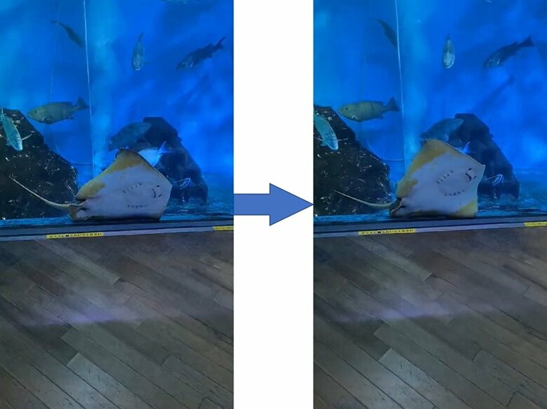 床に衝突。勢いがすごかったのか軽くバウンドしていた（提供：えるぱそさん）